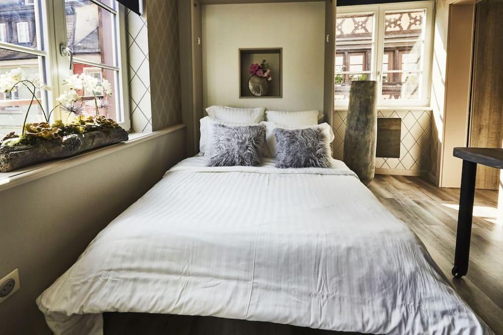 Apartamento Petit & Authentique Hyper Centre Estrasburgo